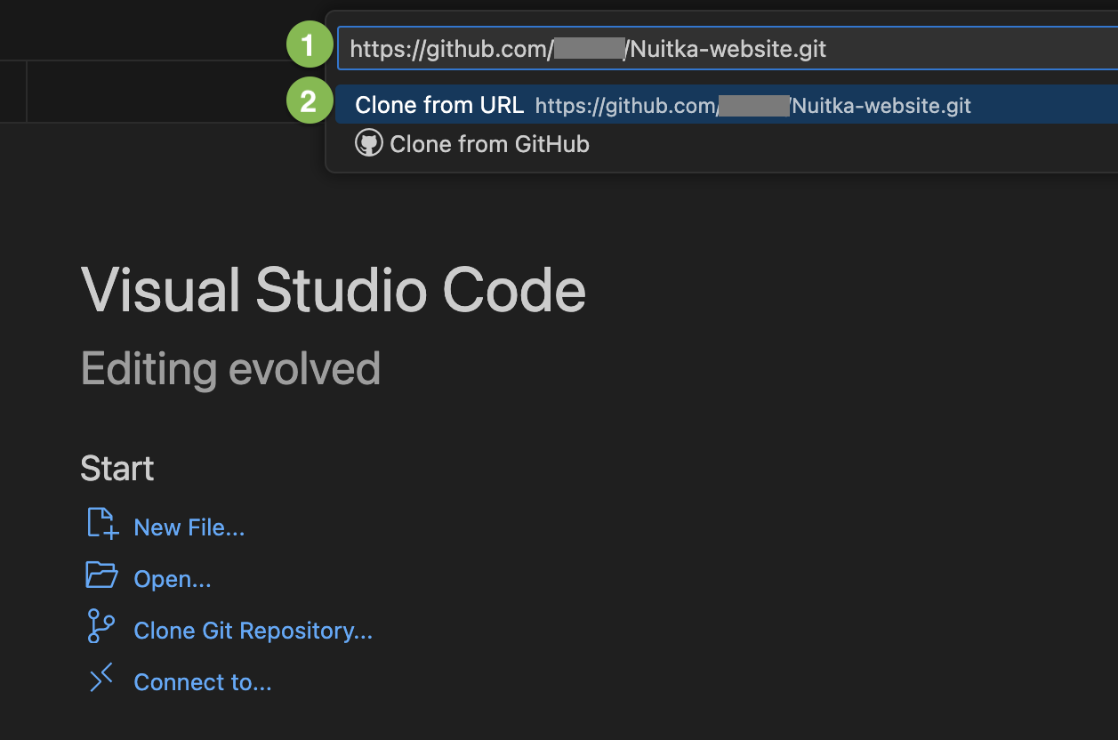 Screenshot of the Visual Studio Code "Welcome page" with the link pasted.